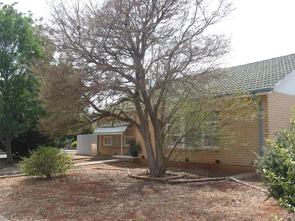 2/1568 Main North Road, Salisbury South, SA, 5106, Elizabeth Park - Thumbnail 2