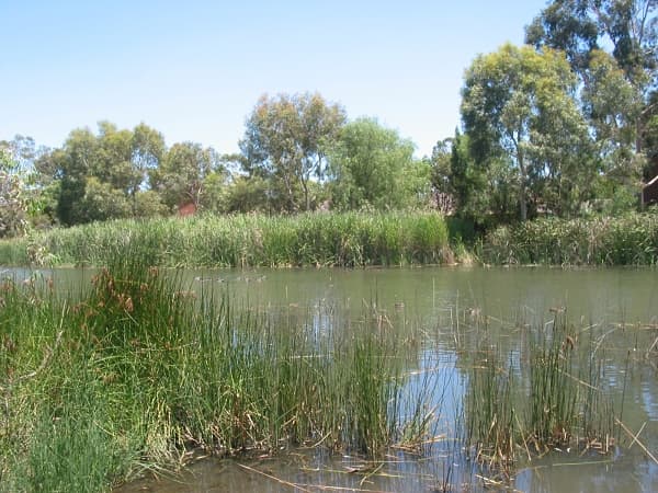 2/1568 Main North Road, Salisbury South, SA, 5106, Salisbury - Thumbnail 8