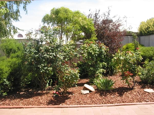 9 Kintyre Court, Greenwith, SA, 5125, Greenwith - Thumbnail 8