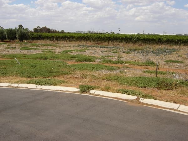 Lot 4 Oliveto Court, Angle Vale, SA, 5117, Angle Vale - Thumbnail 2