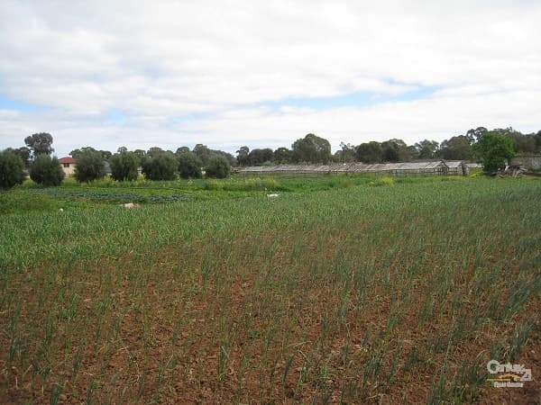 2/1568 Main North Road, Salisbury South, SA, 5106, Salisbury Downs - Thumbnail 3