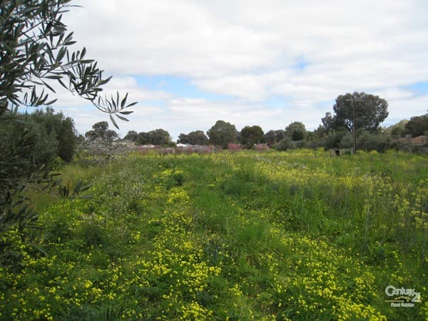 2/1568 Main North Road, Salisbury South, SA, 5106, Salisbury Downs - Thumbnail 4