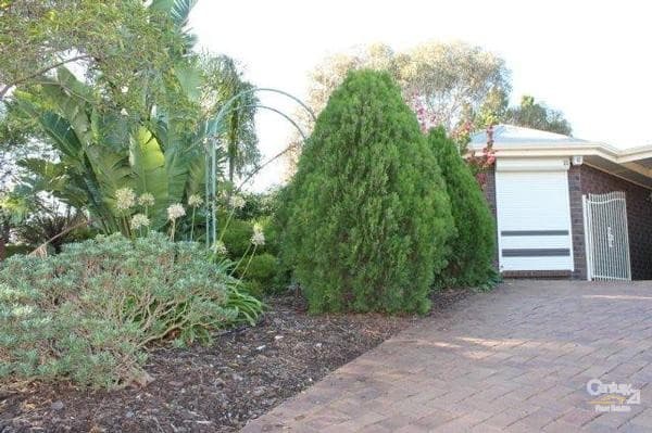 6 Jasmine Court, Craigmore, SA, 5114, Craigmore - Image 1