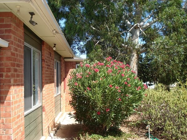 2/1568 Main North Road, Salisbury South, SA, 5106, Mitchell Park - Thumbnail 2