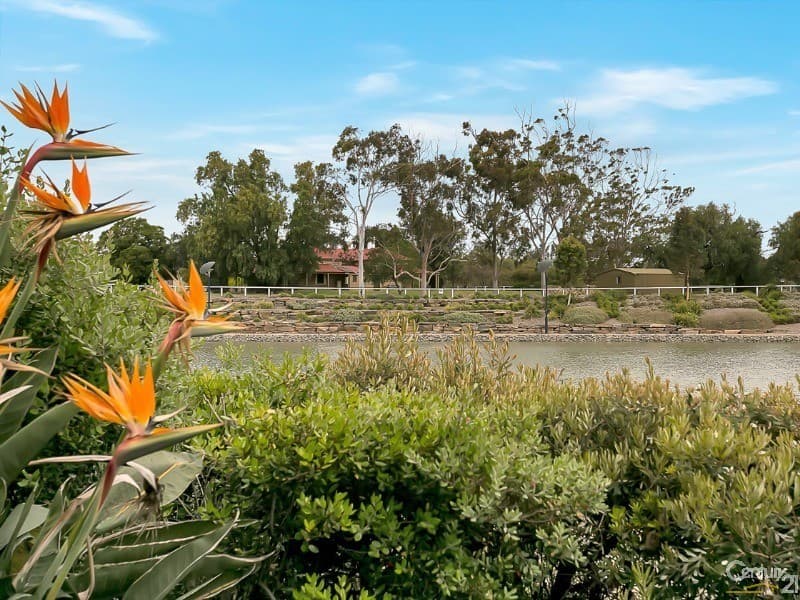 30B  Lomond Circuit, Mawson Lakes, SA, 5095, Mawson Lakes - Thumbnail 2