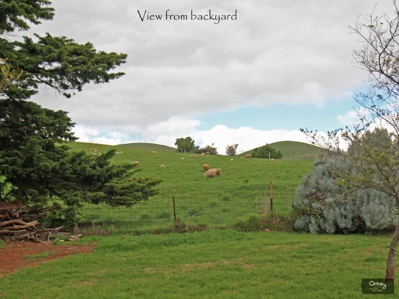 126 Wellington Avenue, Sellicks Beach, SA, 5174, Sellicks Beach - Image 1
