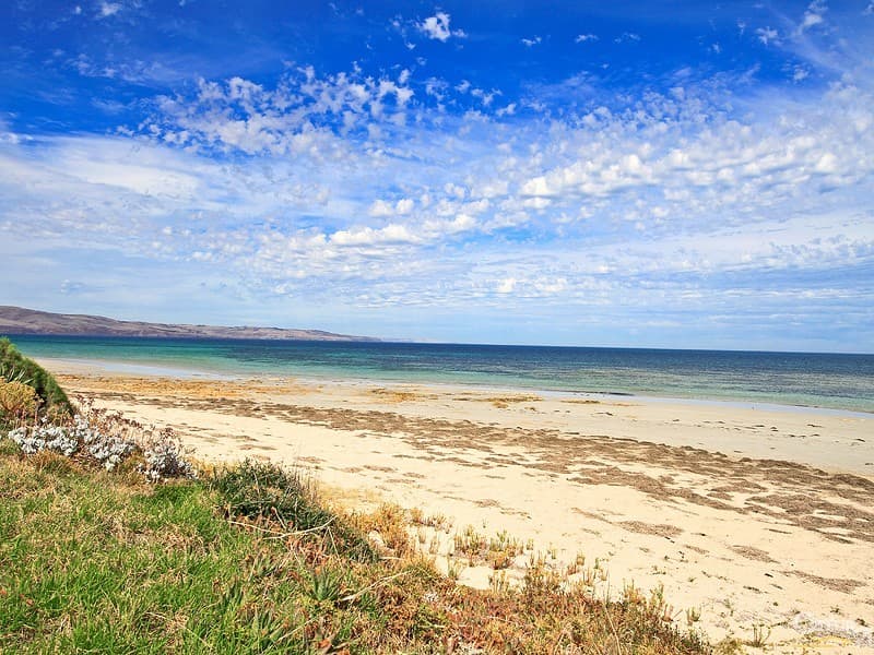 54 Croser Avenue, Aldinga Beach, SA, 5173, Aldinga Beach - Thumbnail 8