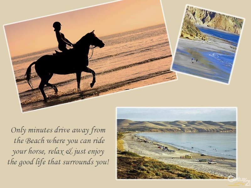 290 Aldinga Beach Road, Aldinga, SA, 5173, Aldinga - Thumbnail 8
