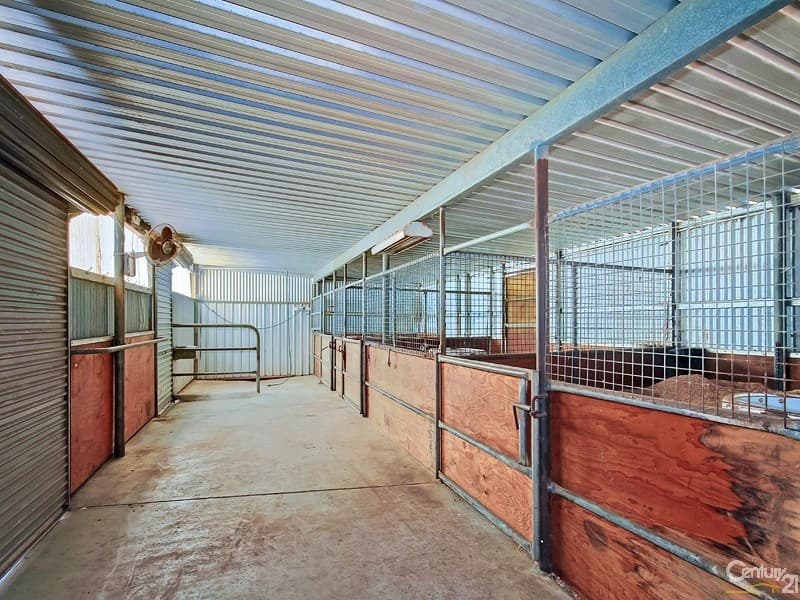 290 Aldinga Beach Road, Aldinga, SA, 5173, Aldinga - Thumbnail 6