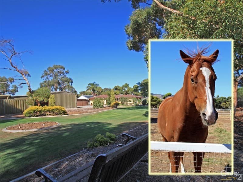 290 Aldinga Beach Road, Aldinga, SA, 5173, Aldinga - Thumbnail 4