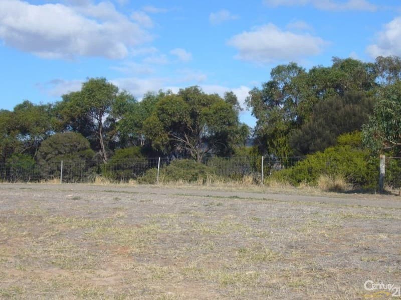 22 Scrub Avenue, Aldinga Beach, SA, 5173, Aldinga Beach - Thumbnail 4