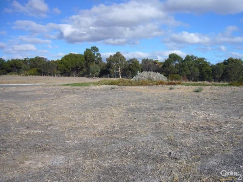 22 Scrub Avenue, Aldinga Beach, SA, 5173, Aldinga Beach - Thumbnail 6