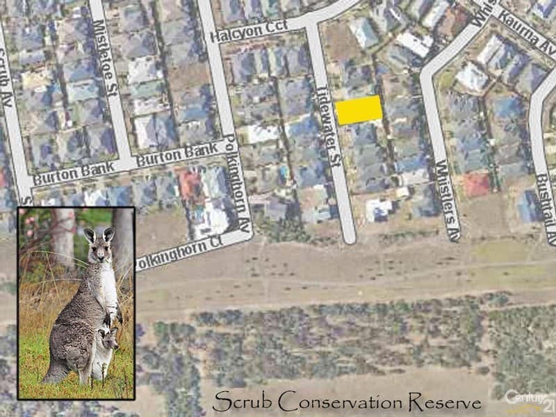 7 Tidewater Street, Aldinga Beach, SA, 5173, Aldinga Beach - Thumbnail 3