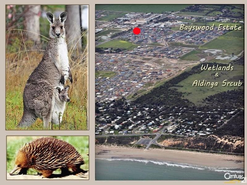 214 Aldinga Beach Road, Aldinga Beach, SA, 5173, Aldinga Beach - Thumbnail 6