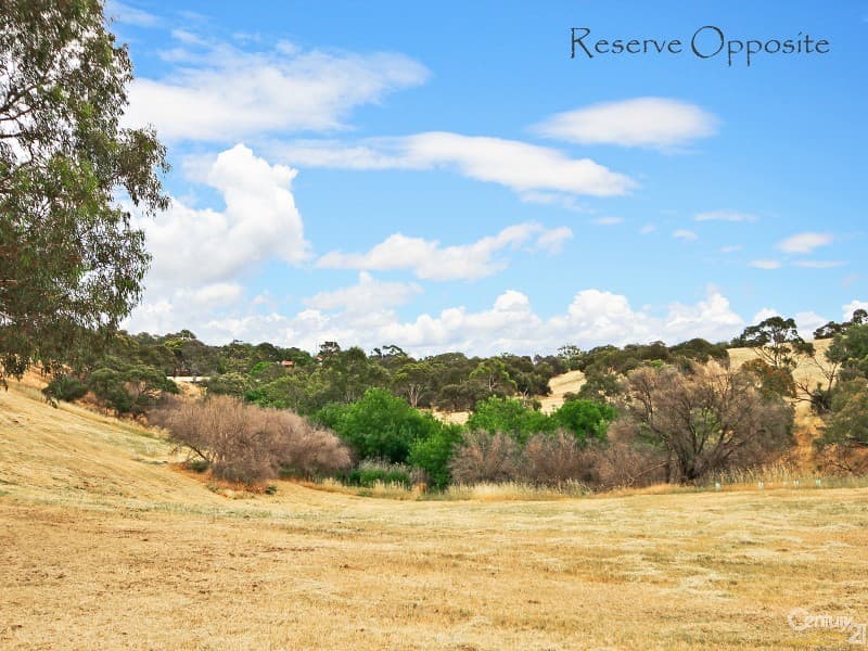 17 Owen Court, Christie Downs, SA, 5164, Christie Downs - Thumbnail 7