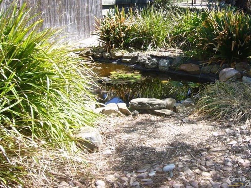 16 Treasure Street, Aldinga Beach, SA, 5173, Aldinga Beach - Thumbnail 3
