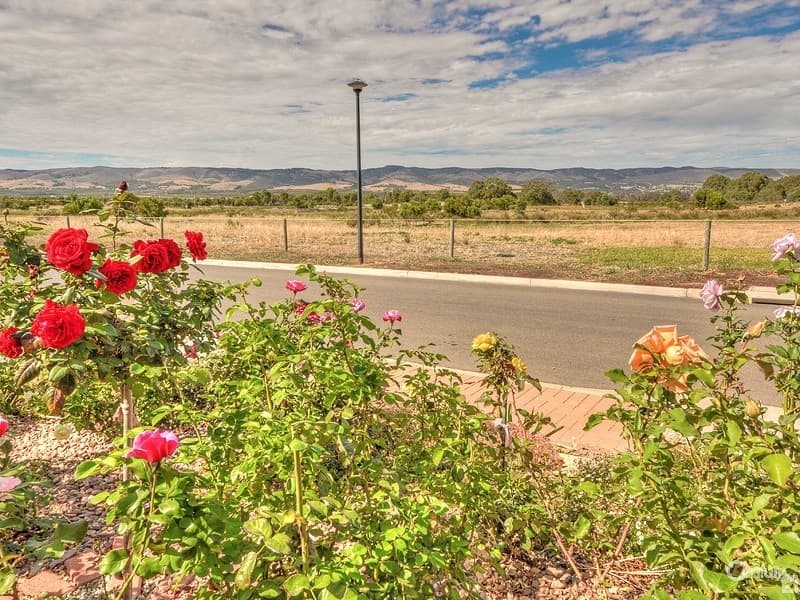 22 Indigo Court, Aldinga Beach, SA, 5173, Aldinga Beach - Thumbnail 3