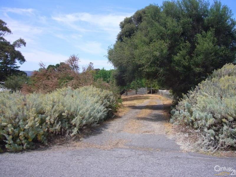 13 William Street, Port Willunga, SA, 5173, Port Willunga - Thumbnail 2