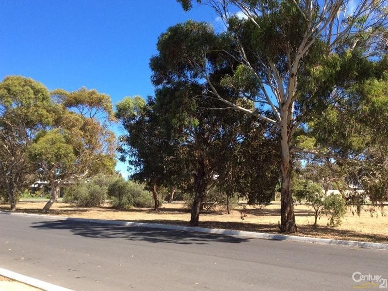 14 Shelly Avenue, Port Willunga, SA, 5173, Port Willunga - Thumbnail 2