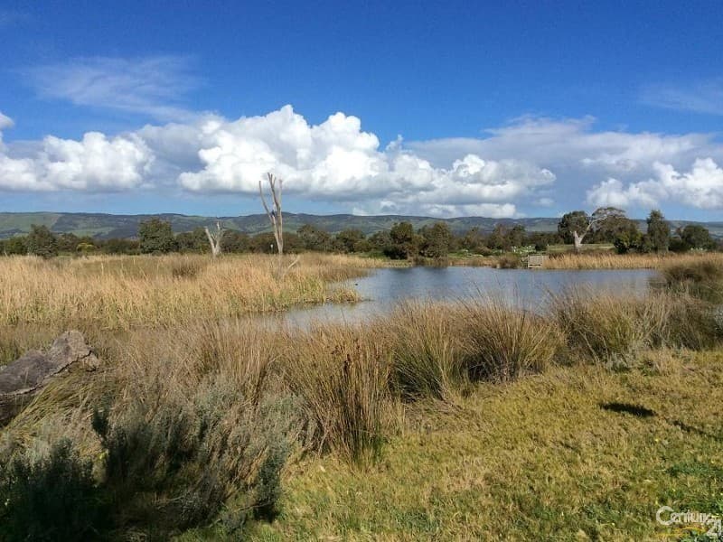 11 Bells Lane, Bellmere, QLD, 4510, Bellmere - Image 1
