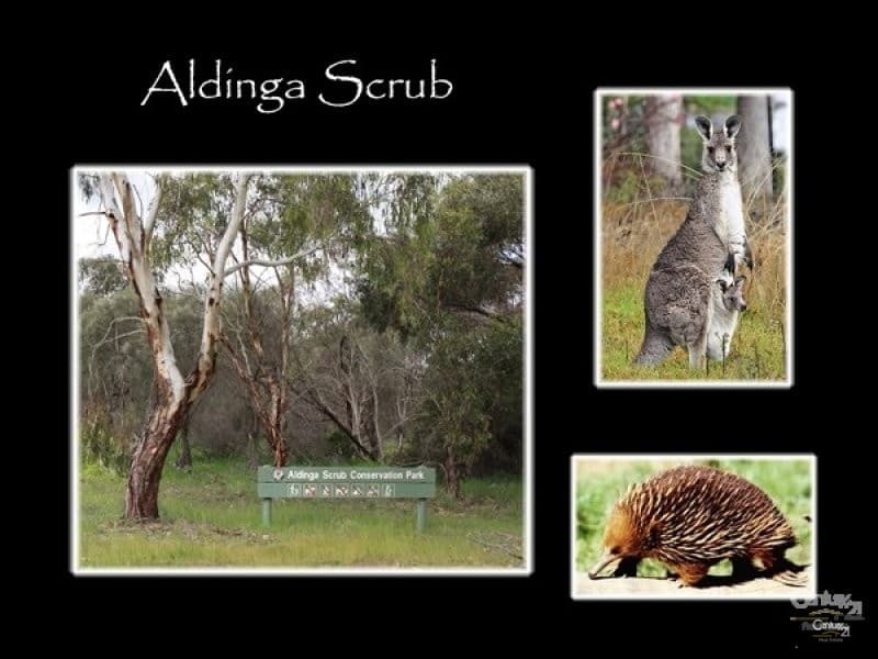 6 Lovelock Street, Aldinga Beach, SA, 5173, Aldinga Beach - Thumbnail 7