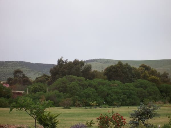 292 LOT BUTTON ROAD, Aldinga Beach, SA, 5173, Aldinga Beach - Thumbnail 2