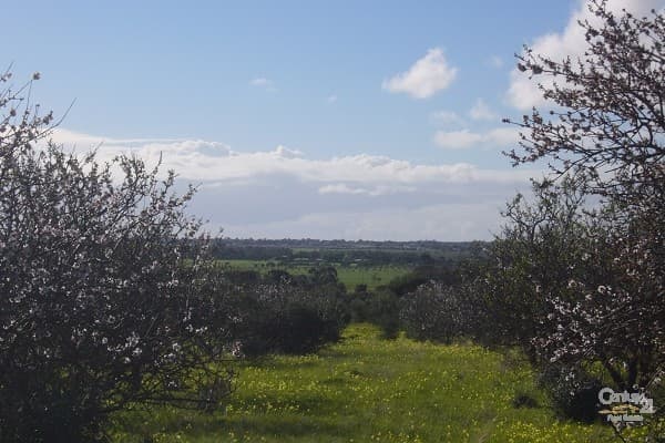 292 LOT BUTTON ROAD, Aldinga Beach, SA, 5173, Aldinga Beach - Thumbnail 4