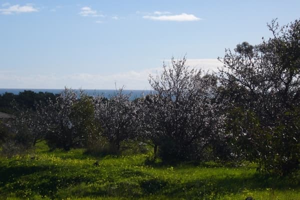 292 LOT BUTTON ROAD, Aldinga Beach, SA, 5173, Aldinga Beach - Thumbnail 7