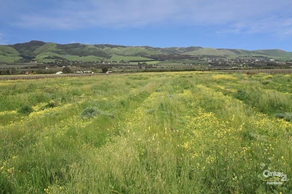 Lot 783 Hahn Road, Aldinga, SA, 5173, Aldinga - Thumbnail 2