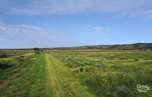 Lot 783 Hahn Road, Aldinga, SA, 5173, Aldinga - Thumbnail 4