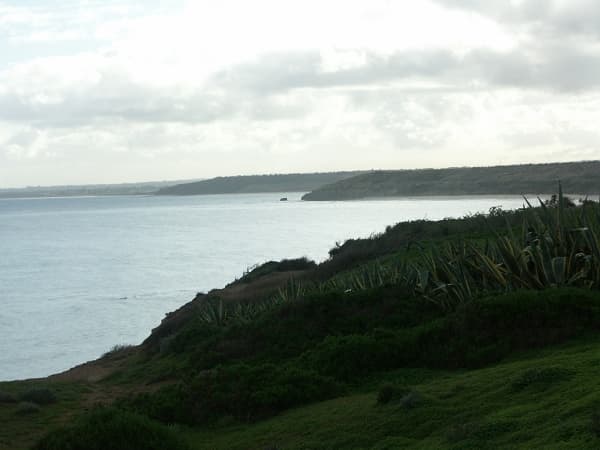 64 Esplanade, Port Willunga, SA, 5173, Port Willunga - Thumbnail 4