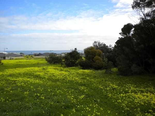 Lot 315 Plaza Avenue, Sellicks Beach, SA, 5174, Sellicks Beach - Image 1