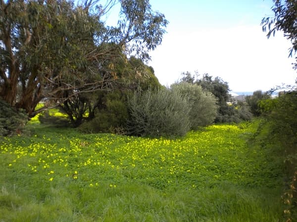 Lot 315 Plaza Avenue, Sellicks Beach, SA, 5174, Sellicks Beach - Thumbnail 2