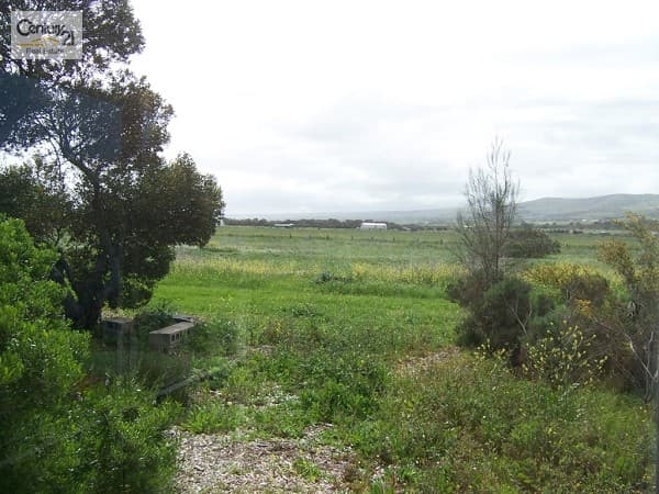9 Ningana Road, Aldinga Beach, SA, 5173, Aldinga Beach - Thumbnail 7
