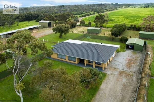 Lot 779 Cox Road, Aldinga Beach, SA, 5173, Aldinga Beach - Image 1