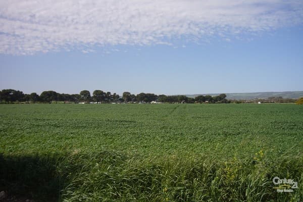 6 Bowering Hill Road, Port Willunga, SA, 5173, Port Willunga - Thumbnail 3