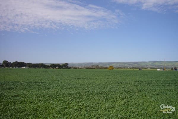 6 Bowering Hill Road, Port Willunga, SA, 5173, Port Willunga - Thumbnail 4