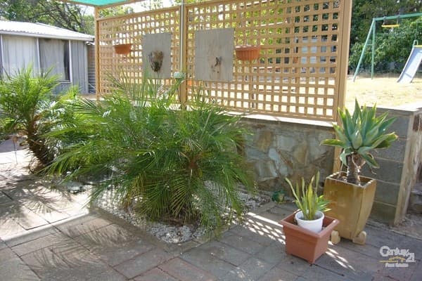 7 Edna Court, Hackham, SA, 5163, Hackham - Thumbnail 6