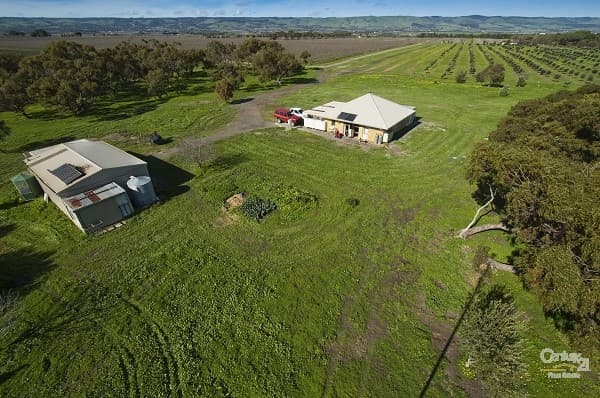 161 Esplanade, Aldinga Beach, SA, 5173, Tatachilla - Thumbnail 7