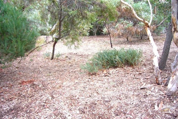 37 Acacia Terrace, Aldinga Beach, SA, 5173, Aldinga Beach - Thumbnail 4