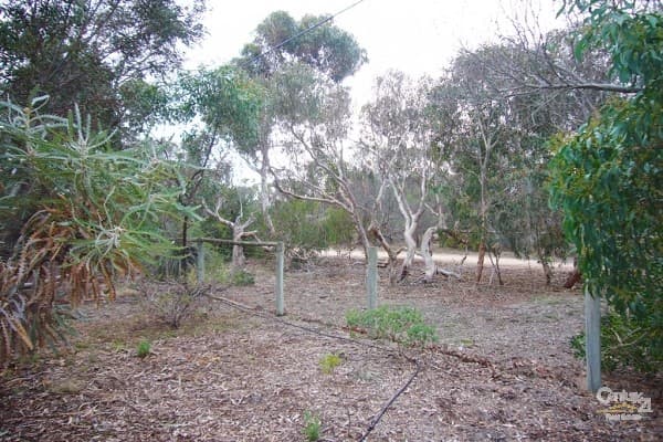 37 Acacia Terrace, Aldinga Beach, SA, 5173, Aldinga Beach - Thumbnail 8