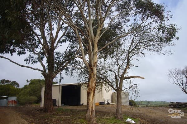 Lots 53 & 54 Wild Dog Creek Road, Wattle Flat, SA, 5203, Wattle Flat - Thumbnail 4