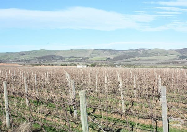 Lot 792 Main South Road, Aldinga, SA, 5173, Aldinga - Thumbnail 2