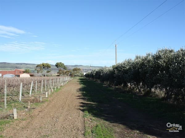 Lot 792 Main South Road, Aldinga, SA, 5173, Aldinga - Thumbnail 3