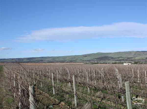 Lot 792 Main South Road, Aldinga, SA, 5173, Aldinga - Thumbnail 4