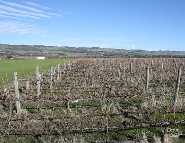Lot 792 Main South Road, Aldinga, SA, 5173, Aldinga - Thumbnail 8