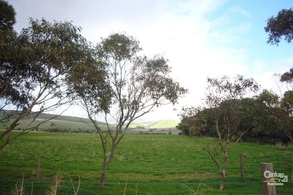 Lot 135 Silver Cloud Grove, Sellicks Beach, SA, 5174, Sellicks Beach - Thumbnail 3