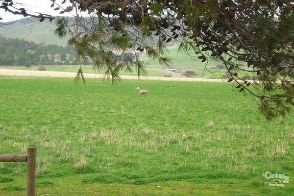 Lot 135 Silver Cloud Grove, Sellicks Beach, SA, 5174, Sellicks Beach - Thumbnail 6