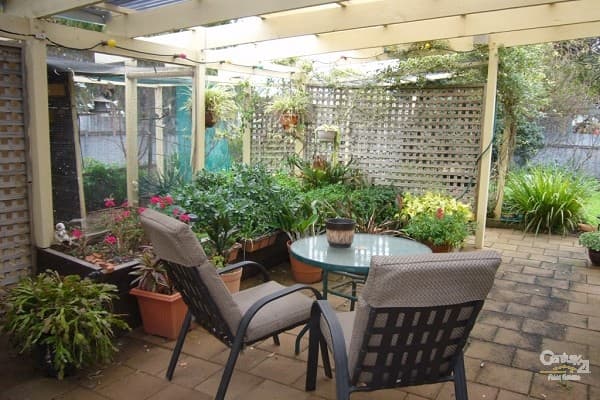 10 Skoda Street, Port Willunga, SA, 5173, Port Willunga - Thumbnail 4