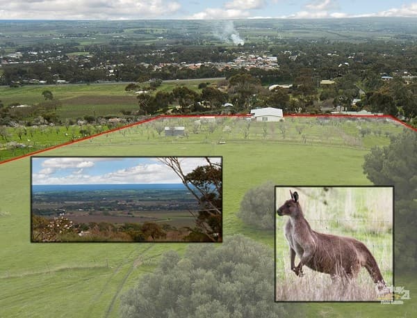 Lot 371 St Johns Terrace, Willunga, SA, 5172, Willunga - Image 1